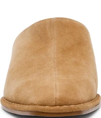 Steve Madden Dessa Suede Block Heel Mules