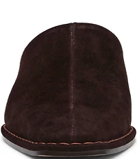 Steve Madden Dessa Suede Block Heel Mules