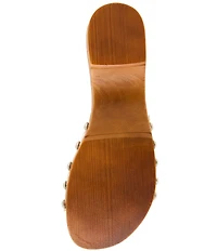 Steve Madden Fredi Clear Vinyl Buckled Platform Slide Sandals