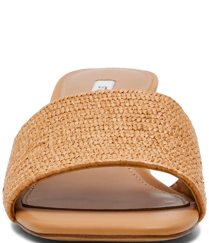 Steve Madden Frolic Raffia Slide Sandals