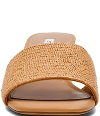 Steve Madden Frolic Raffia Slide Sandals