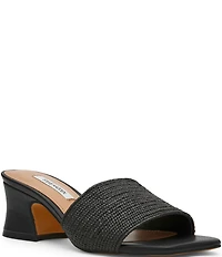 Steve Madden Frolic Raffia Slide Sandals