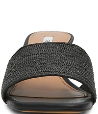 Steve Madden Frolic Raffia Slide Sandals