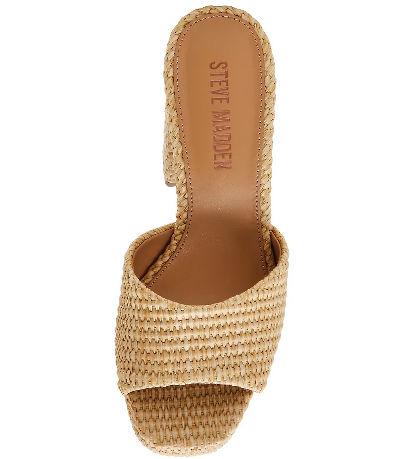 Steve Madden Joel Raffia Platform Dress Sandals