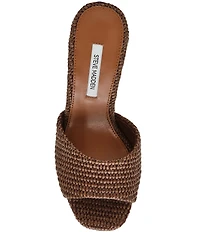 Steve Madden Joel Raffia Platform Dress Sandals