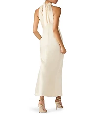 Steve Madden Lara High Neck Sleeveless Maxi Dress
