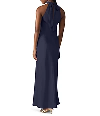 Steve Madden Lara High Neck Sleeveless Maxi Dress