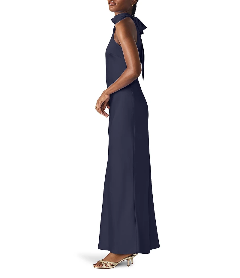 Steve Madden Lara High Neck Sleeveless Maxi Dress