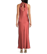 Steve Madden Lara High Neck Sleeveless Maxi Dress
