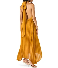 Steve Madden Maraya Woven Mesh Halter V-Neck Open Back Pleated Maxi Dress