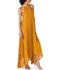 Steve Madden Maraya Woven Mesh Halter V-Neck Open Back Pleated Maxi Dress
