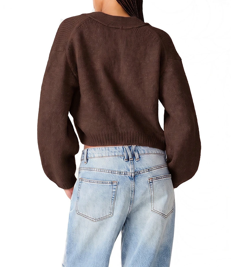Steve Madden Mica V-Neck Long Sleeve Cropped Sweater