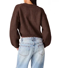 Steve Madden Mica V-Neck Long Sleeve Cropped Sweater