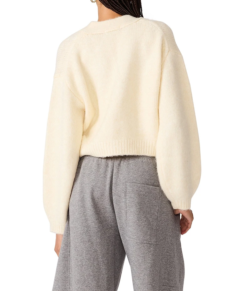 Steve Madden Mica V-Neck Long Sleeve Cropped Sweater
