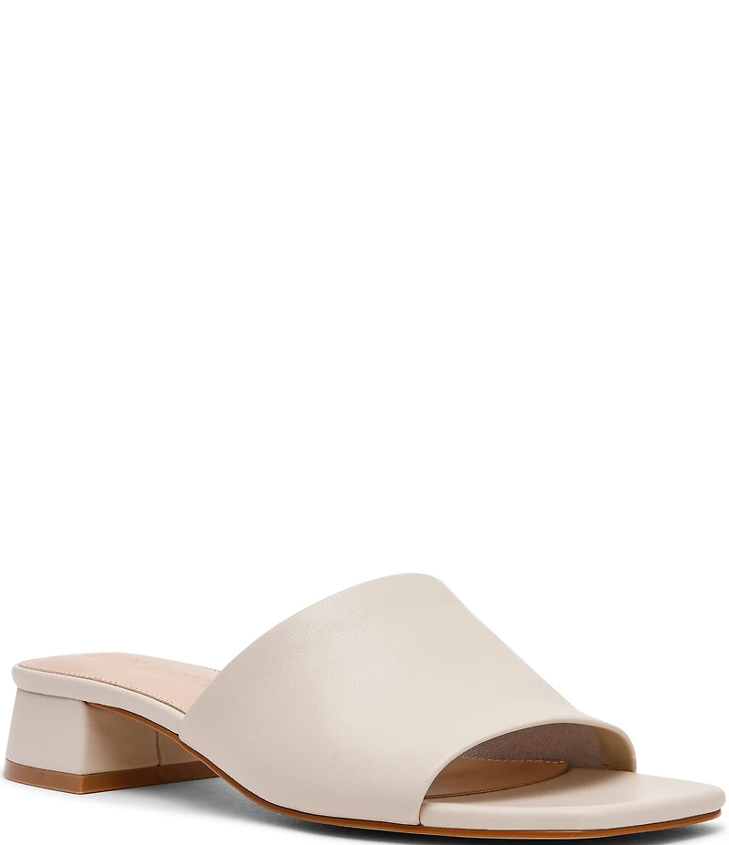 Steve Madden Montgomery Leather Slide Sandals