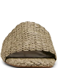 Steve Madden Montgomery Raffia Slide Sandals