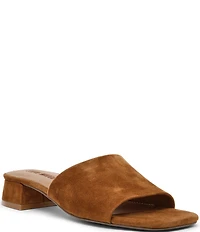 Steve Madden Montgomery Suede Dress Slide Sandals