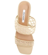 Steve Madden Nola Raffia Block Heel Dress Sandals
