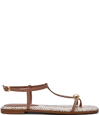 Steve Madden Ritzy Snake Print T-Strap Gold Hardware Flat Sandals