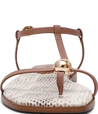 Steve Madden Ritzy Snake Print T-Strap Gold Hardware Flat Sandals