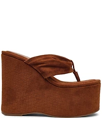 Steve Madden Saucy Suede Thong Platform Wedge Sandals