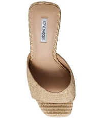 Steve Madden Seleste Raffia Wedge Slide Sandals