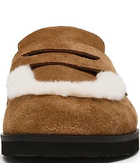 Steve Madden Tomlin Suede Faux Fur Platform Clogs