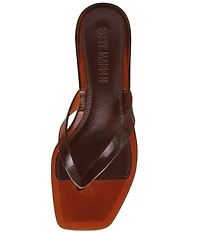 Steve Madden Tracie Jelly Clear Kitten Heel Thong Sandals