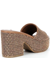 Steve Madden Trippy Raffia Platform Block Heel Slide Sandals