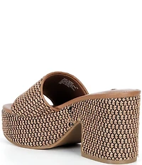 Steve Madden Trippy Raffia Platform Block Heel Slide Sandals