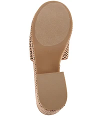 Steve Madden Trippy Raffia Platform Block Heel Slide Sandals