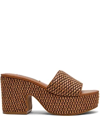 Steve Madden Trippy Raffia Platform Block Heel Slide Sandals