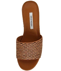 Steve Madden Trippy Raffia Platform Block Heel Slide Sandals