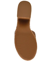 Steve Madden Trippy Raffia Platform Block Heel Slide Sandals