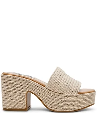 Steve Madden Trippy Woven Rope Platform Block Heel Slide Sandals
