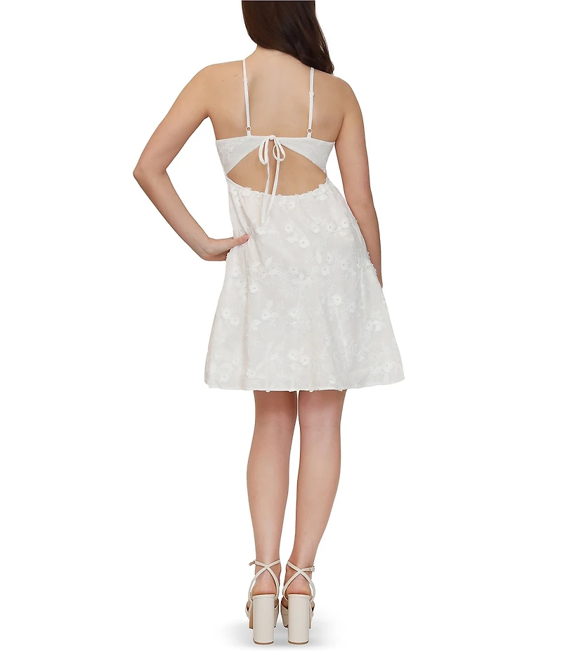 Stevie by Steve Madden Embroidered V-Neck Tie Back Dress