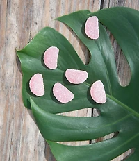 Sugarfina Tequila Grapefruit Sours Cube Kit, Set of 4