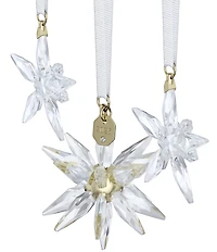 Swarovski Crystal 2025 Annual Edition Collection 3D Ornament Set