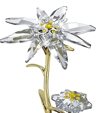Swarovski Florere 130th Anniversary Bell Jar