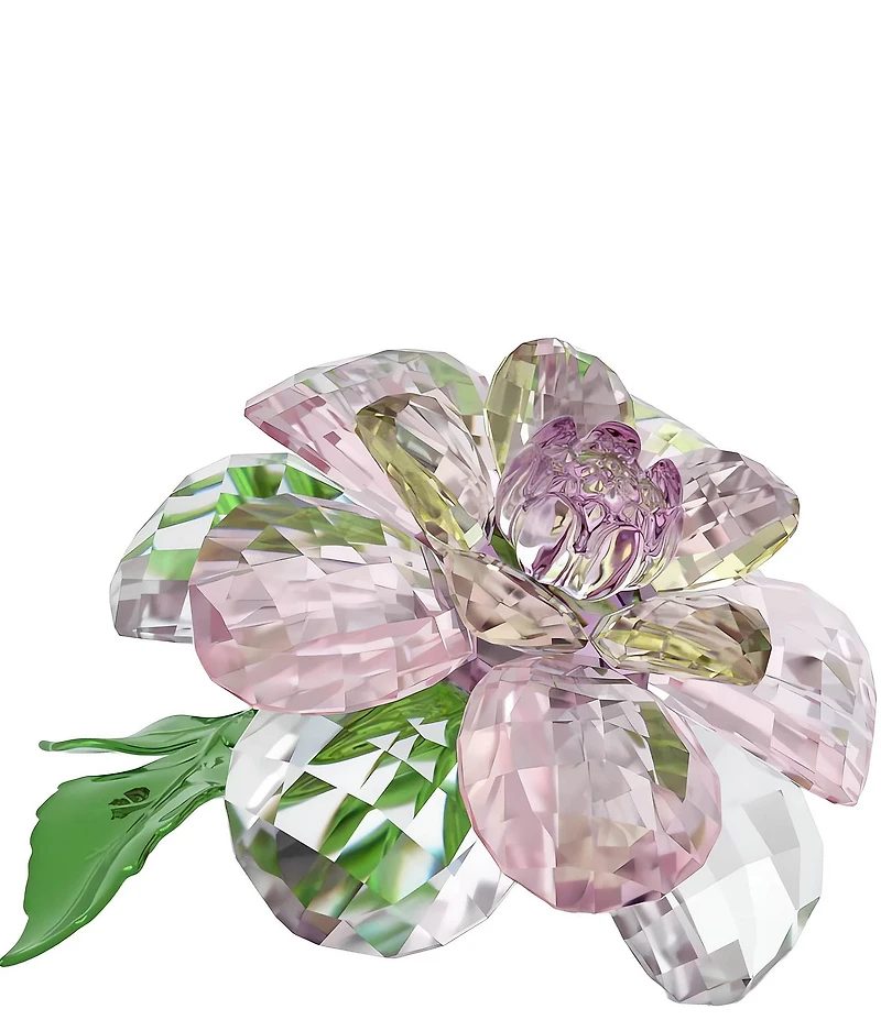 Swarovski Florere Collection Camellia Flower Figurine