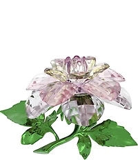 Swarovski Florere Collection Camellia Flower Figurine