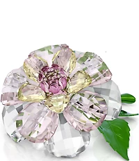Swarovski Florere Collection Camellia Flower Figurine