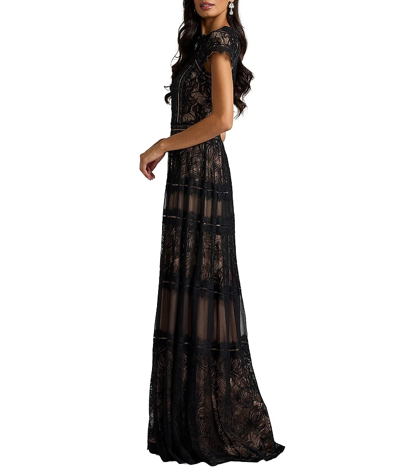 Tadashi Shoji Bateau Neck Cap Sleeve Illusion Lace Embroidered Aline Gown