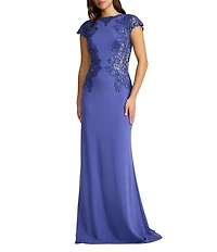 Tadashi Shoji Cap Sleeve Embroidered Sequin Lace Crepe Gown