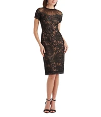 Tadashi Shoji Embroidered Chiffon Lace Crew Neck Short Sleeve Sheath Dress
