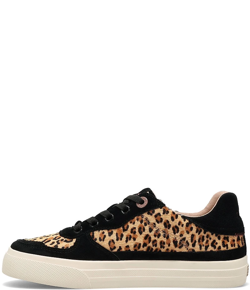 Taos Footwear Pop Soul Cheetah Print Calf Hair and Suede Platform Sneakers