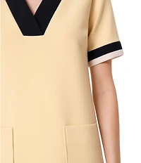 Tara Jarmon Reowa V-Neck Short Sleeve Mini Dress