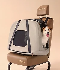 Tavo Pet Crispin Crash-Tested Pet Travel Crate