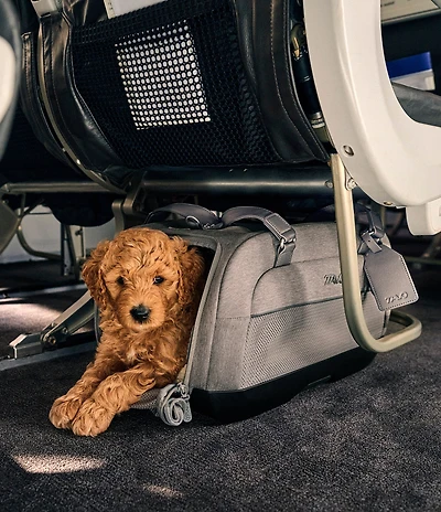 Tavo Pet Dupree™ Airline Carry-On Pet Car Seat