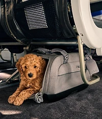 Tavo Pet Dupree™ II Airline Carry-On Pet Car Seat